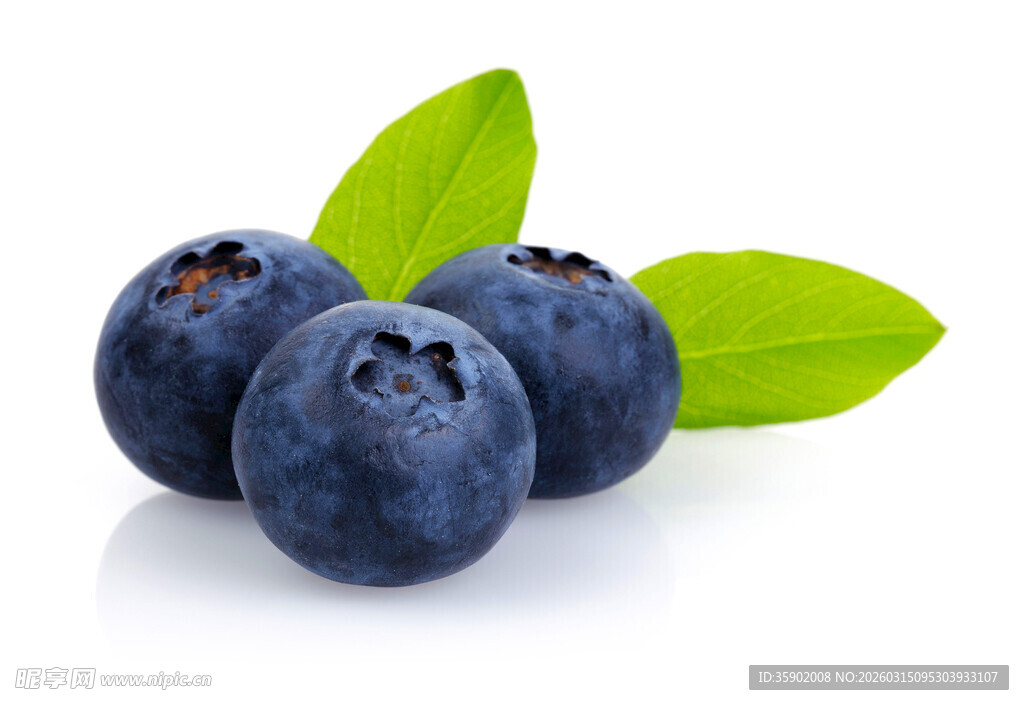 新鲜蓝莓带绿叶展示