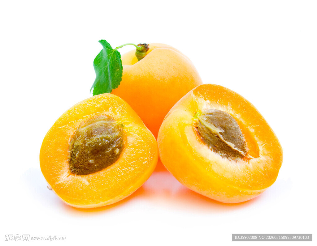 新鲜黄杏果肉饱满色泽佳