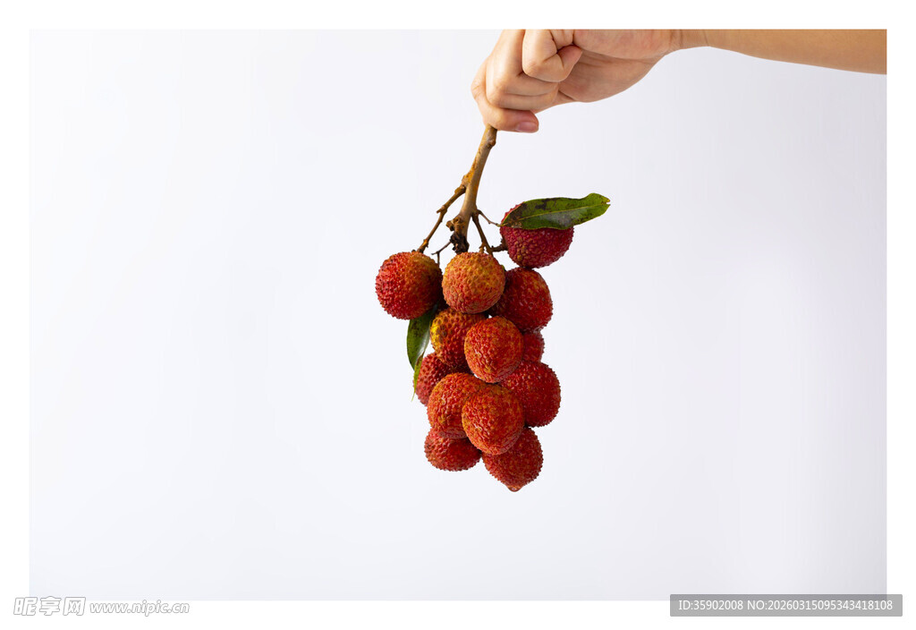 手拎新鲜诱人的红毛丹