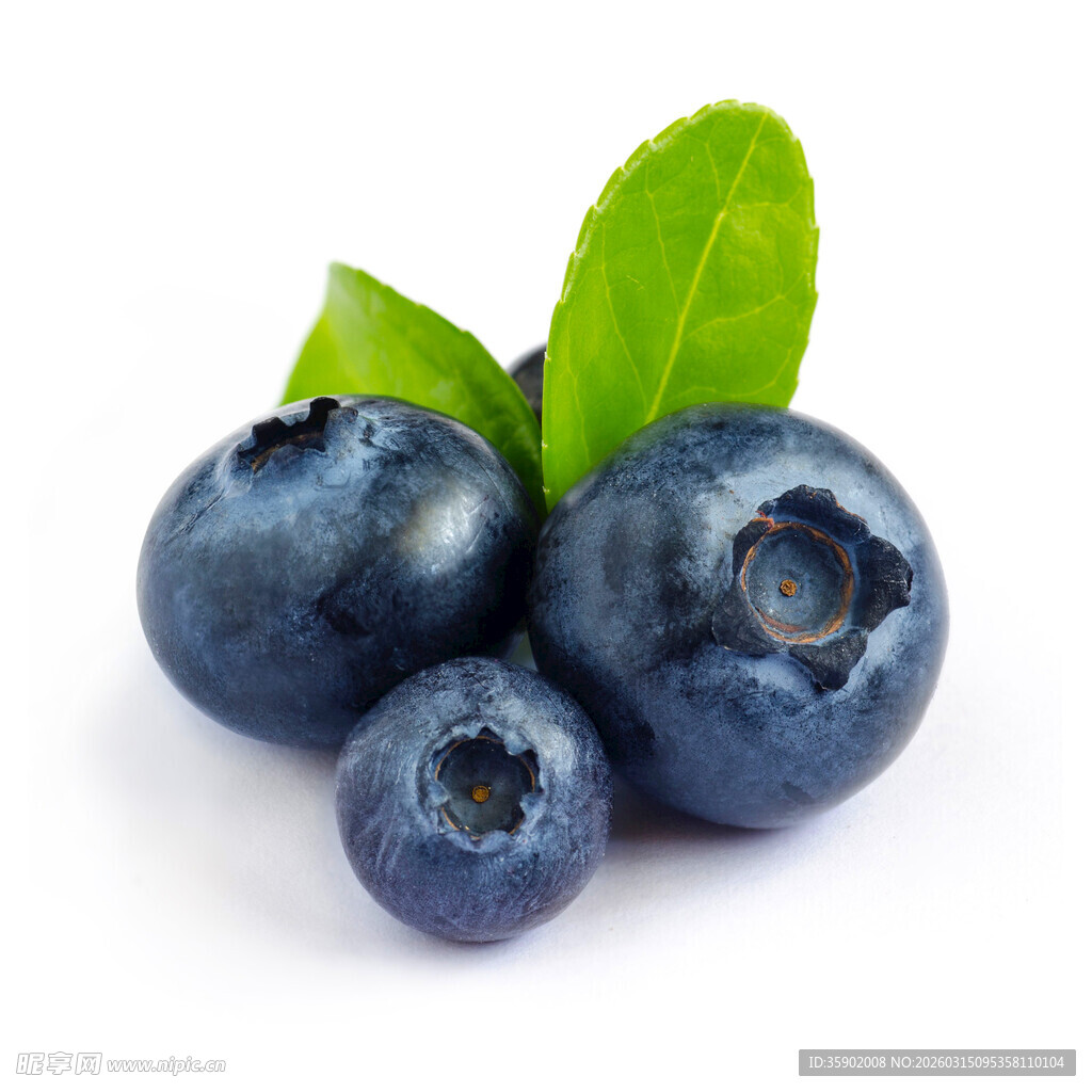 新鲜蓝莓带绿叶的美味