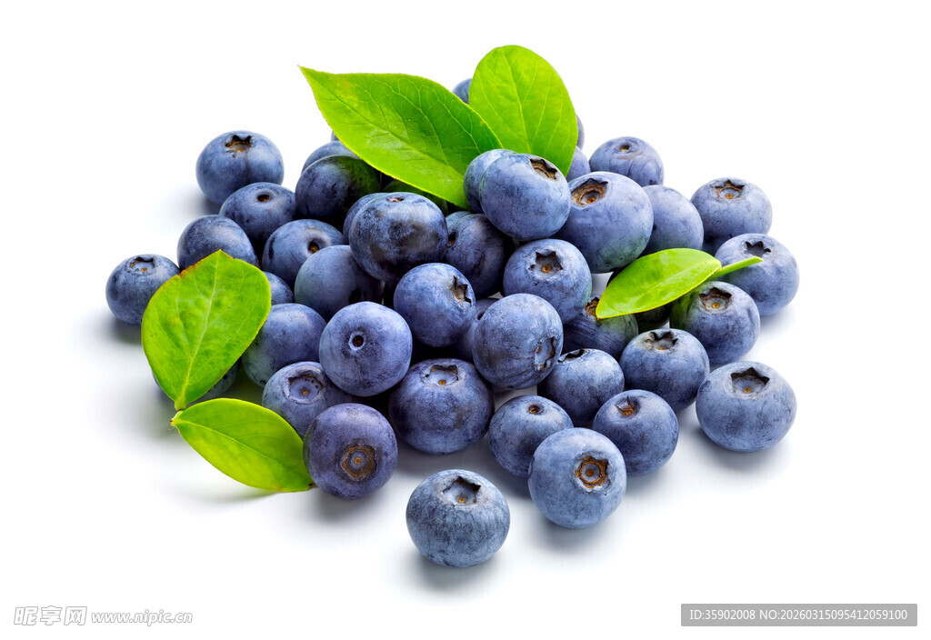 新鲜蓝莓堆叠带绿叶
