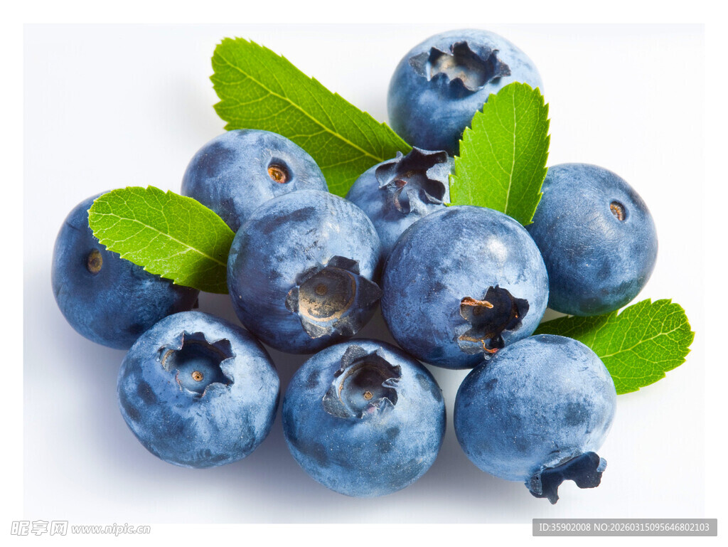 新鲜蓝莓带绿叶诱人