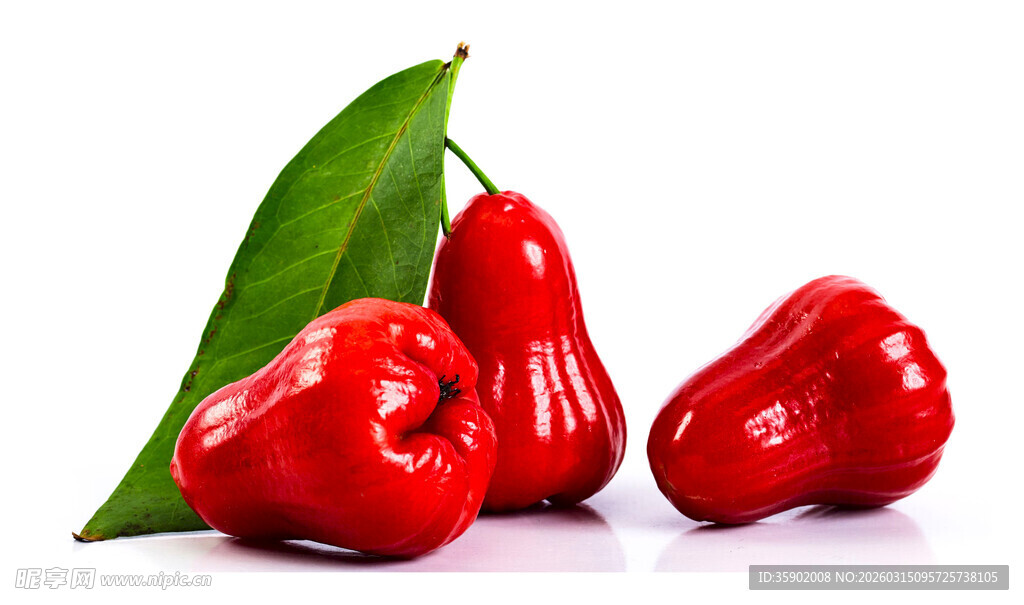 鲜红莲雾果与绿叶