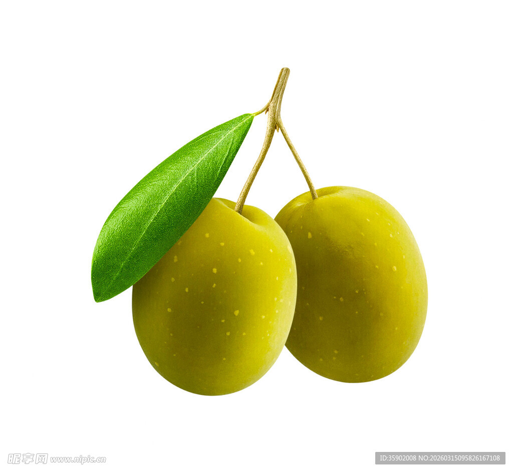 两颗鲜绿橄榄带叶悬挂