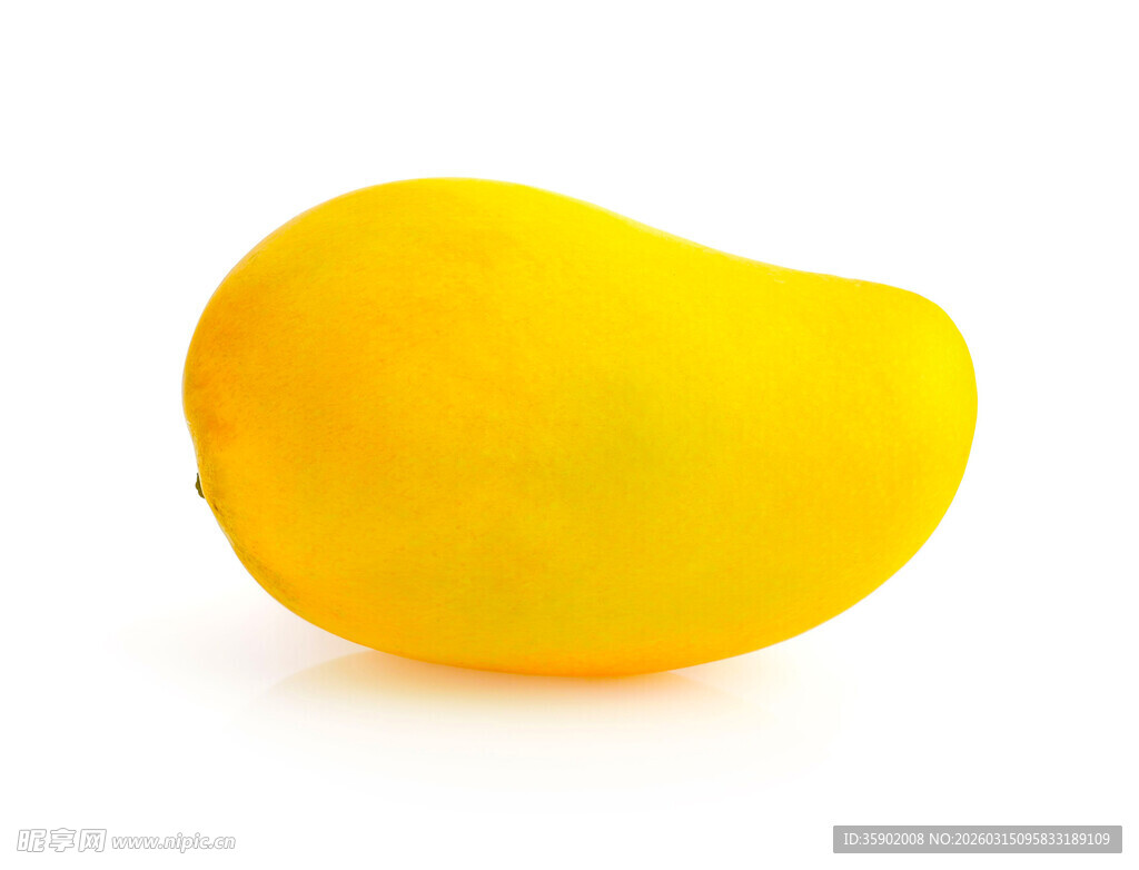 金黄饱满芒果单体特写