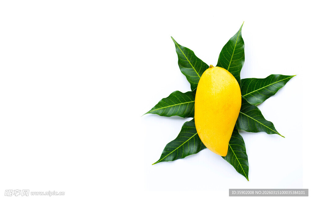 鲜黄芒果配翠绿叶片