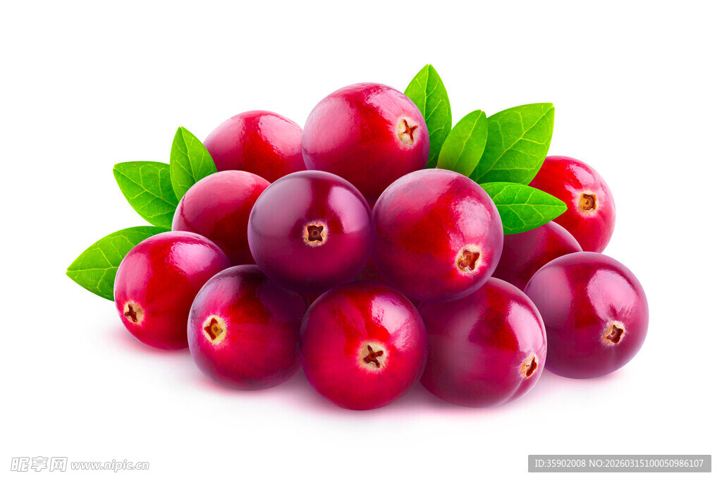 新鲜蔓越莓带绿叶点缀