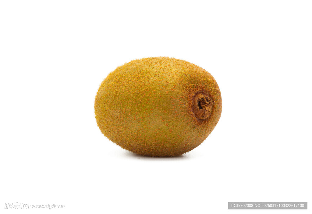 金黄猕猴桃特写