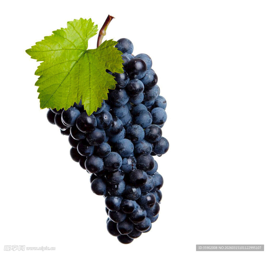 一串紫葡萄