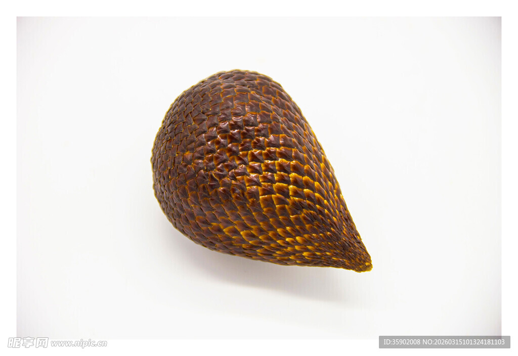 奇特纹理的锥形果实