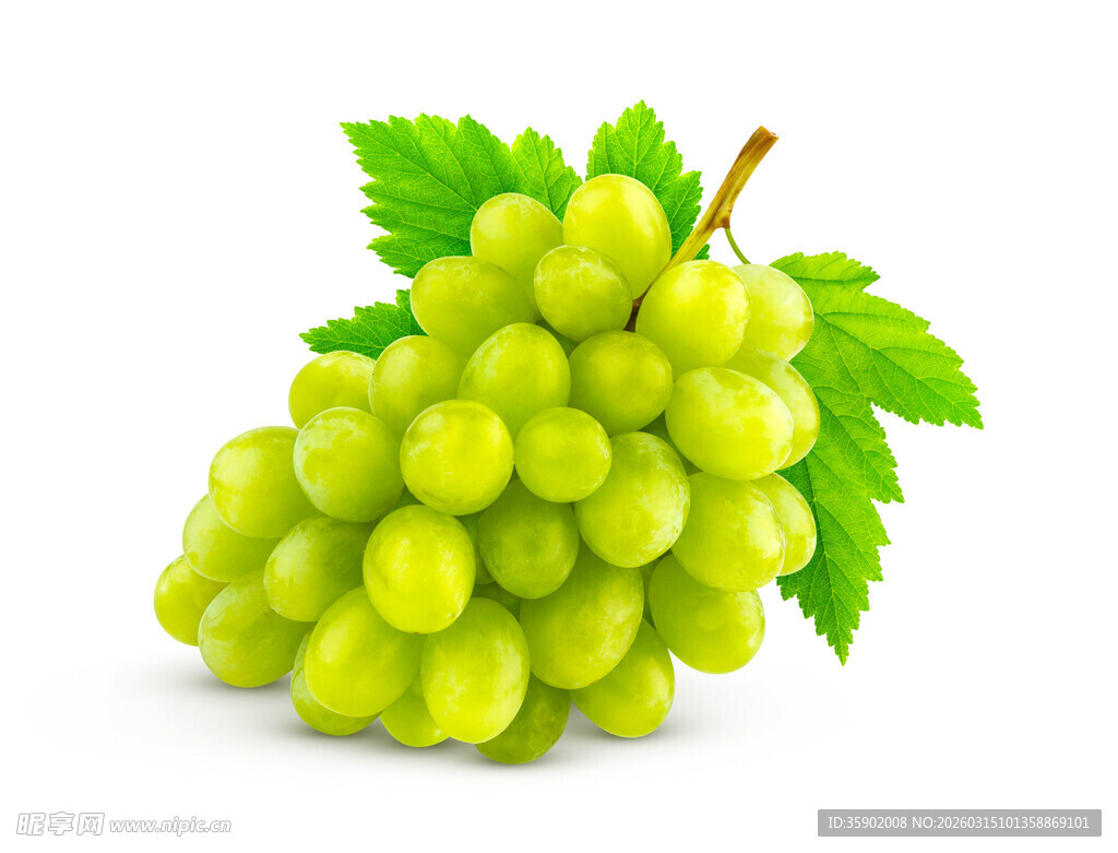 鲜绿葡萄带叶饱满诱人