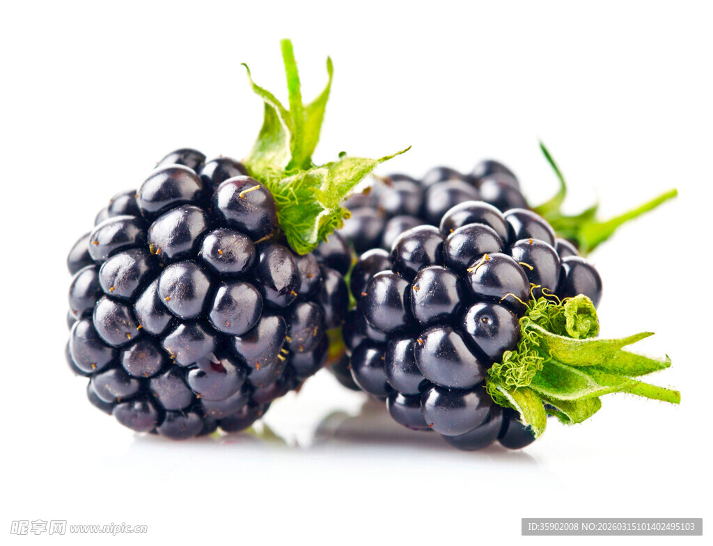 新鲜饱满的黑莓