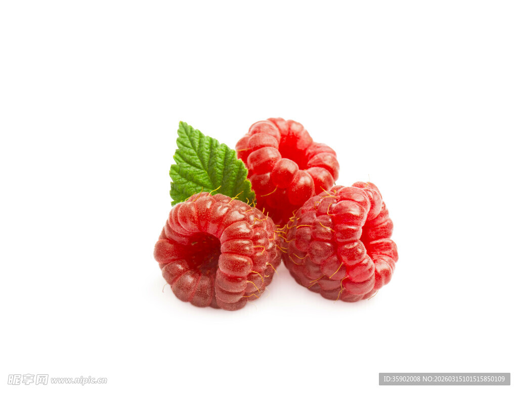 新鲜树莓带绿叶的美味