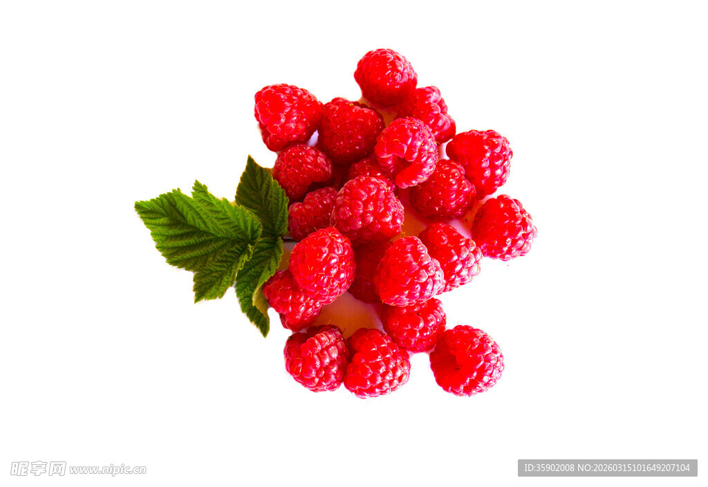 新鲜树莓绿叶相伴