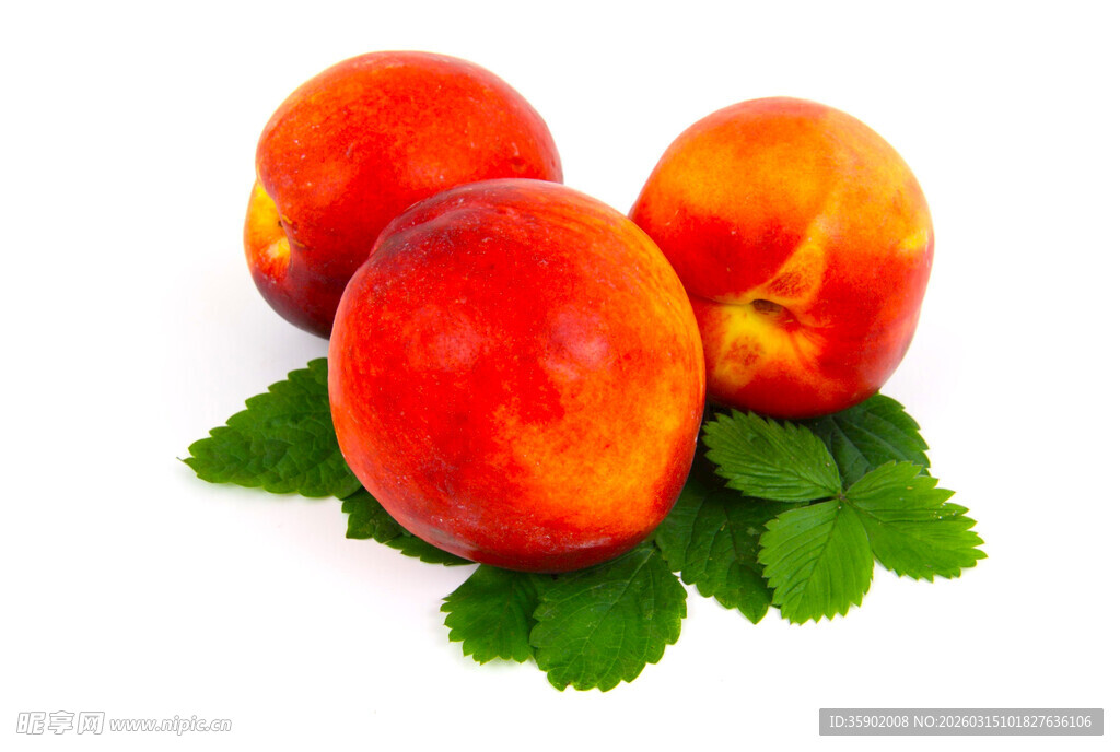 新鲜油桃带绿叶展示