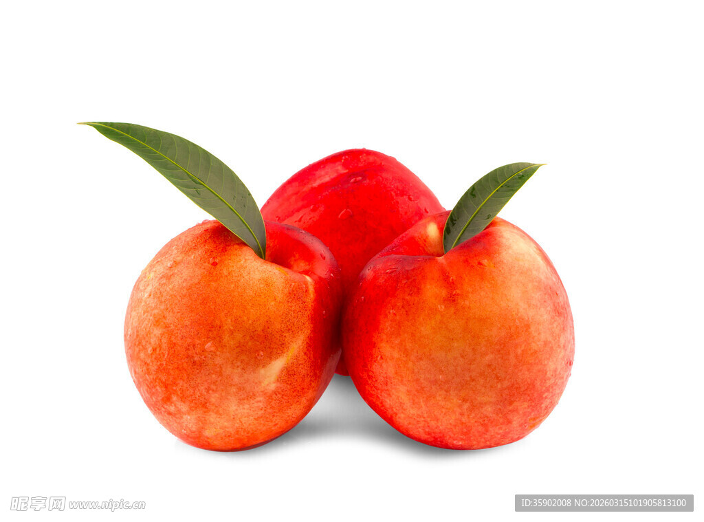 三颗鲜桃带绿叶