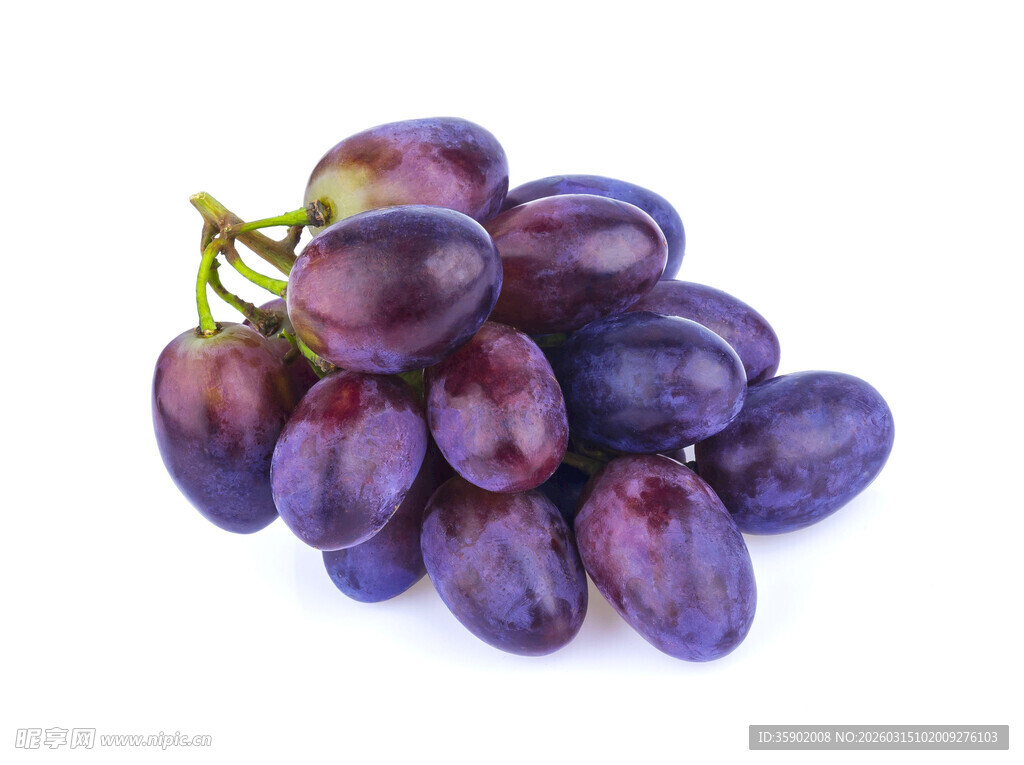 紫葡萄果实特写