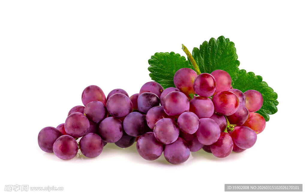 紫葡萄配绿叶新鲜诱人