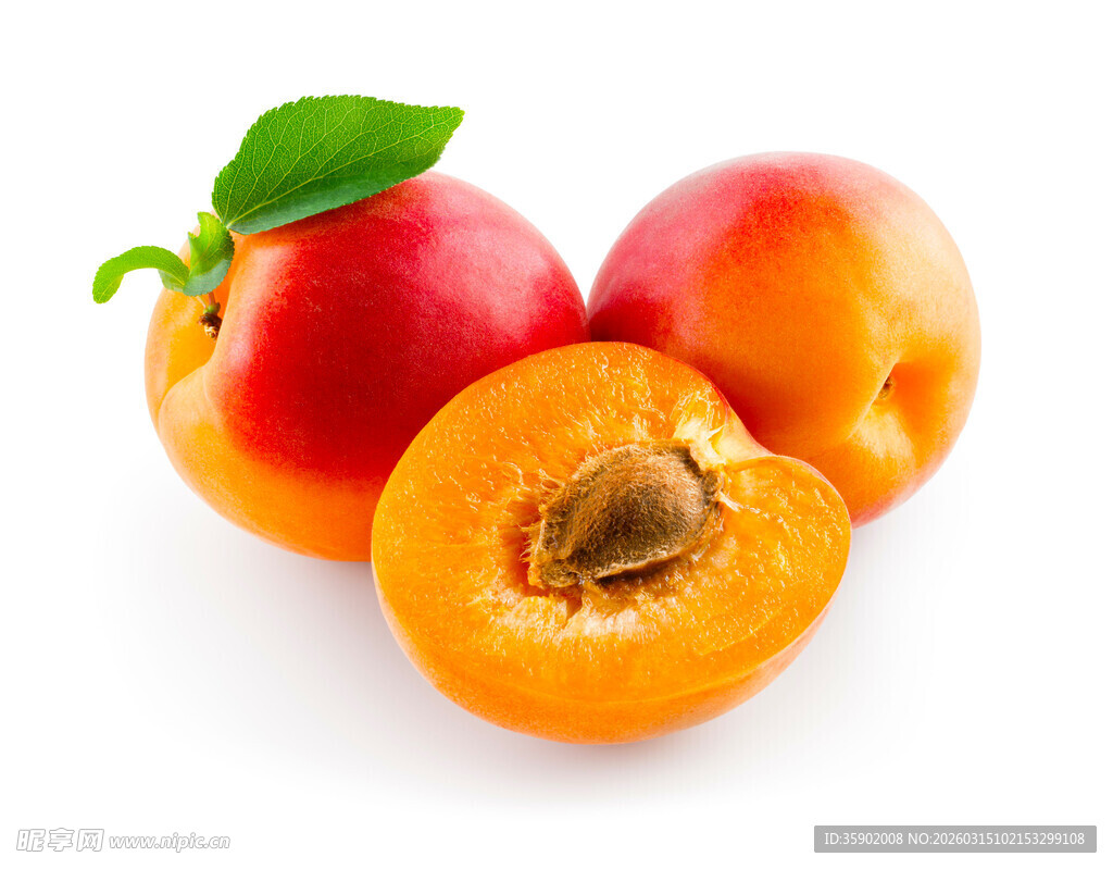 新鲜诱人的成熟杏子