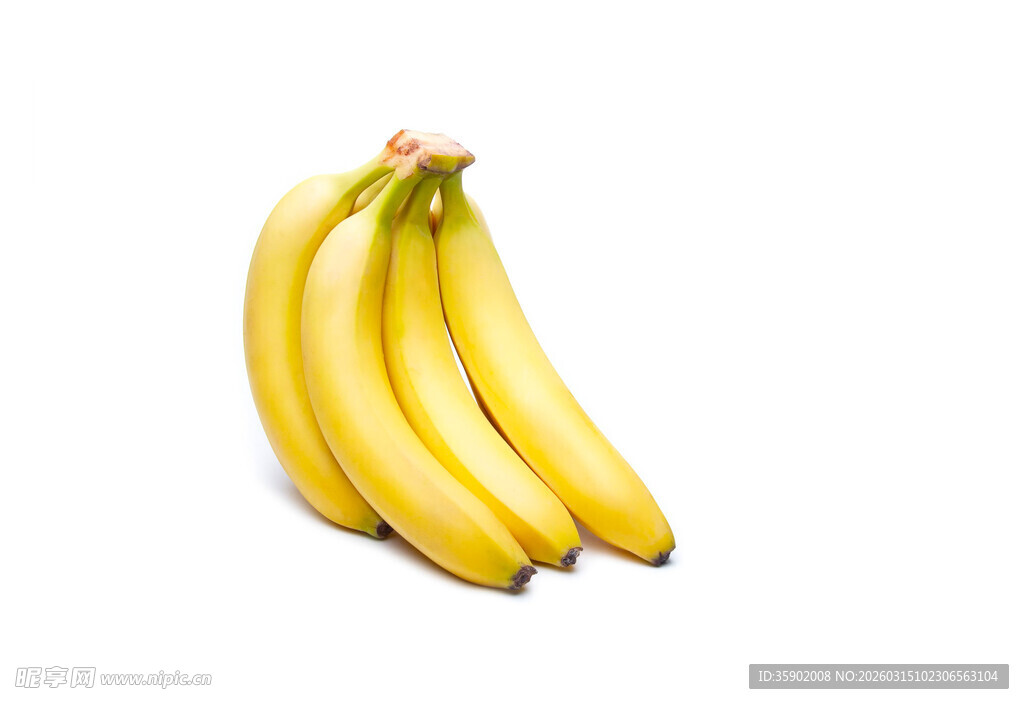 一串金黄饱满的新鲜香蕉