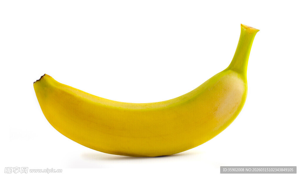 黄色成熟香蕉特写