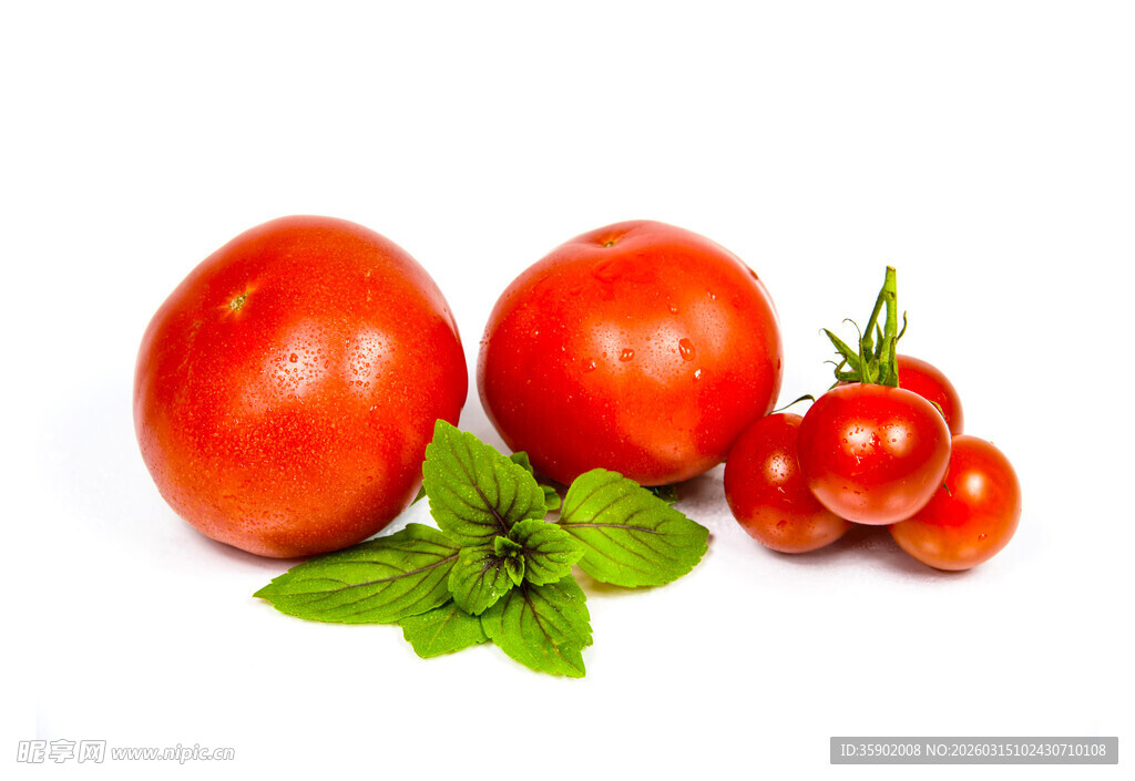 新鲜番茄与罗勒叶组合