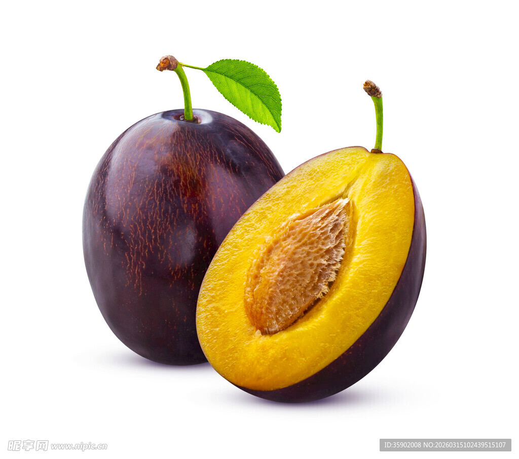 新鲜紫李果肉金黄诱人