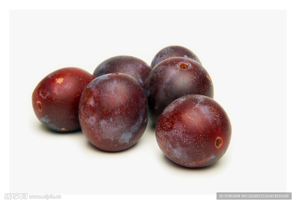 紫黑色李子果实特写