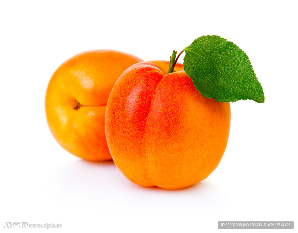 新鲜双杏绿叶点缀