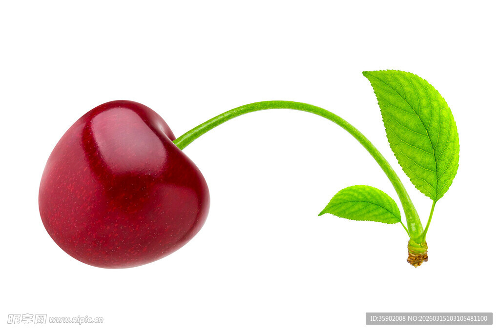 鲜红樱桃带绿叶