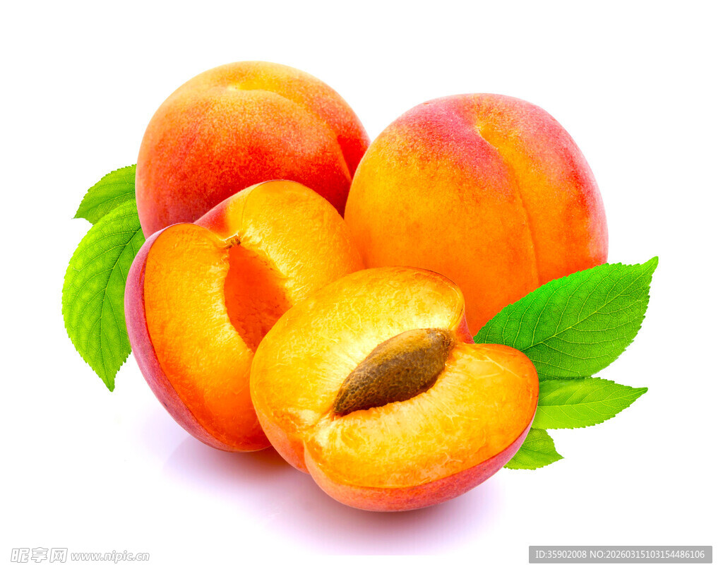 新鲜饱满的黄杏带绿叶