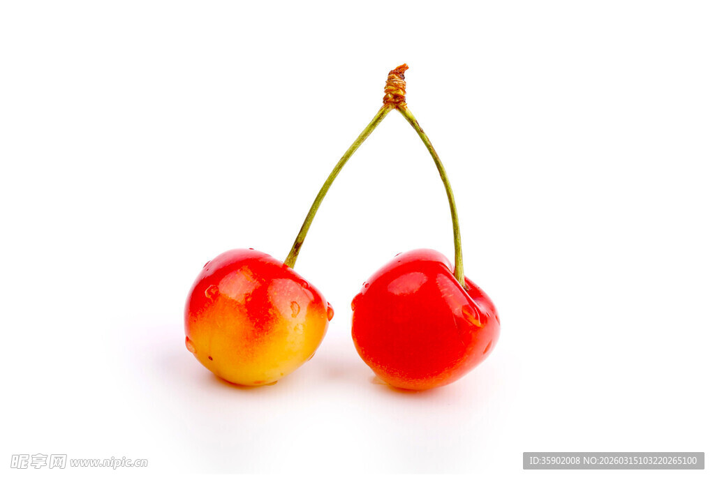 双颗鲜樱桃特写