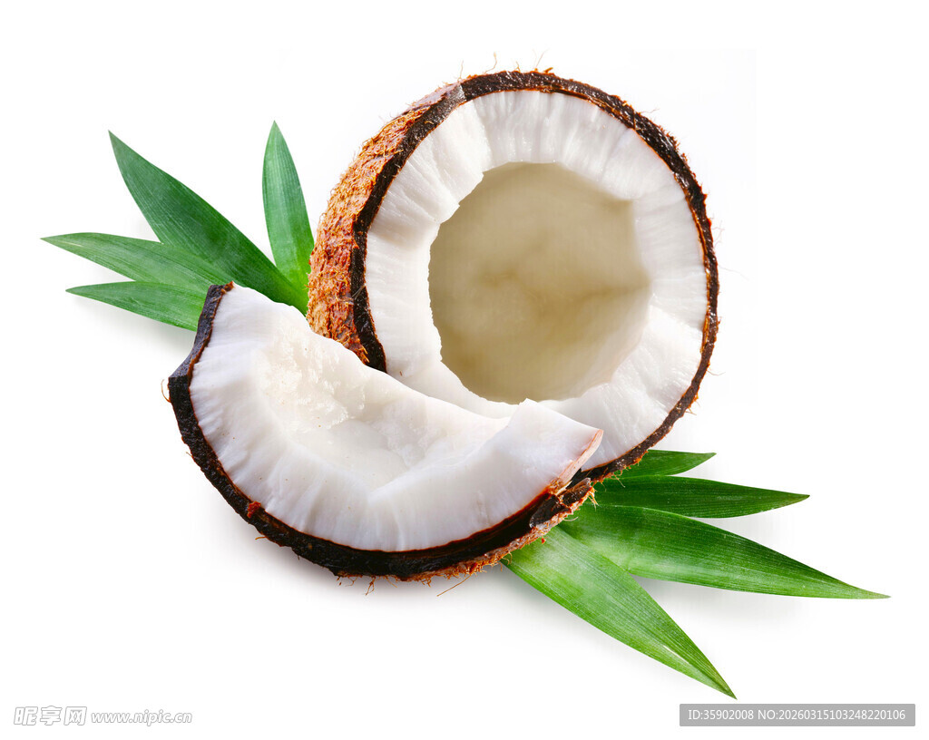 切开的新鲜椰子带绿叶