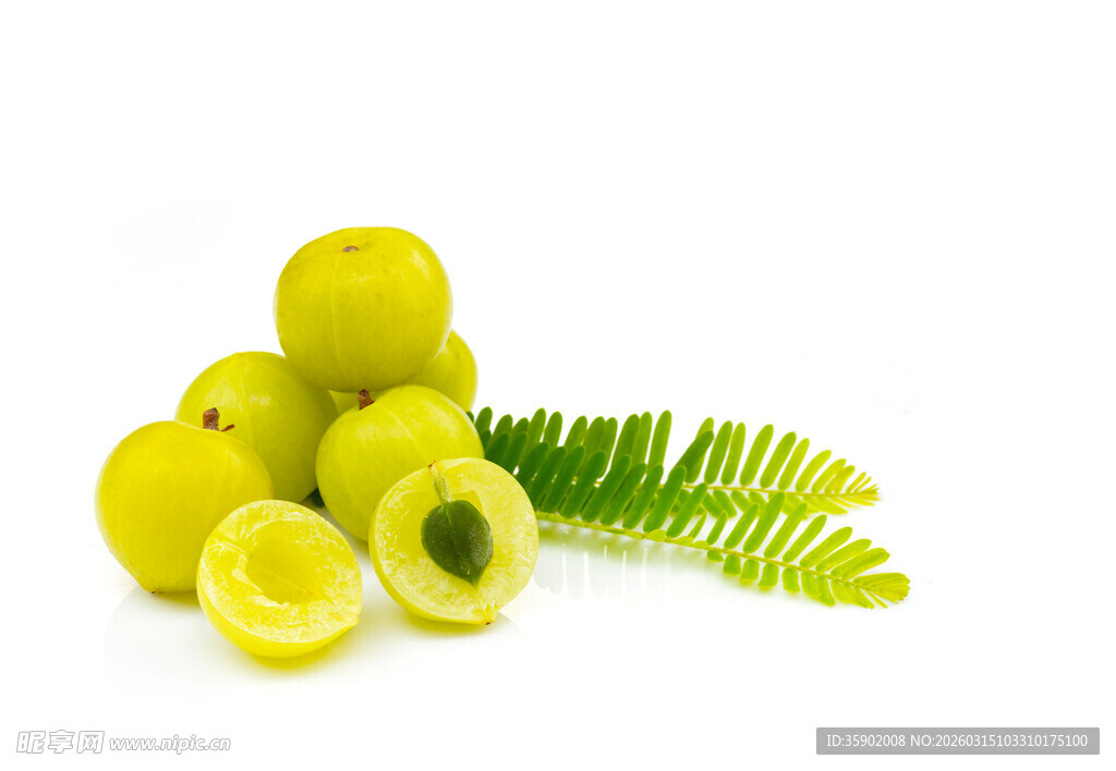 青柠与蕨叶的清新组合