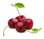 新鲜红樱桃带绿叶点缀