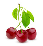 三颗鲜红带叶樱桃