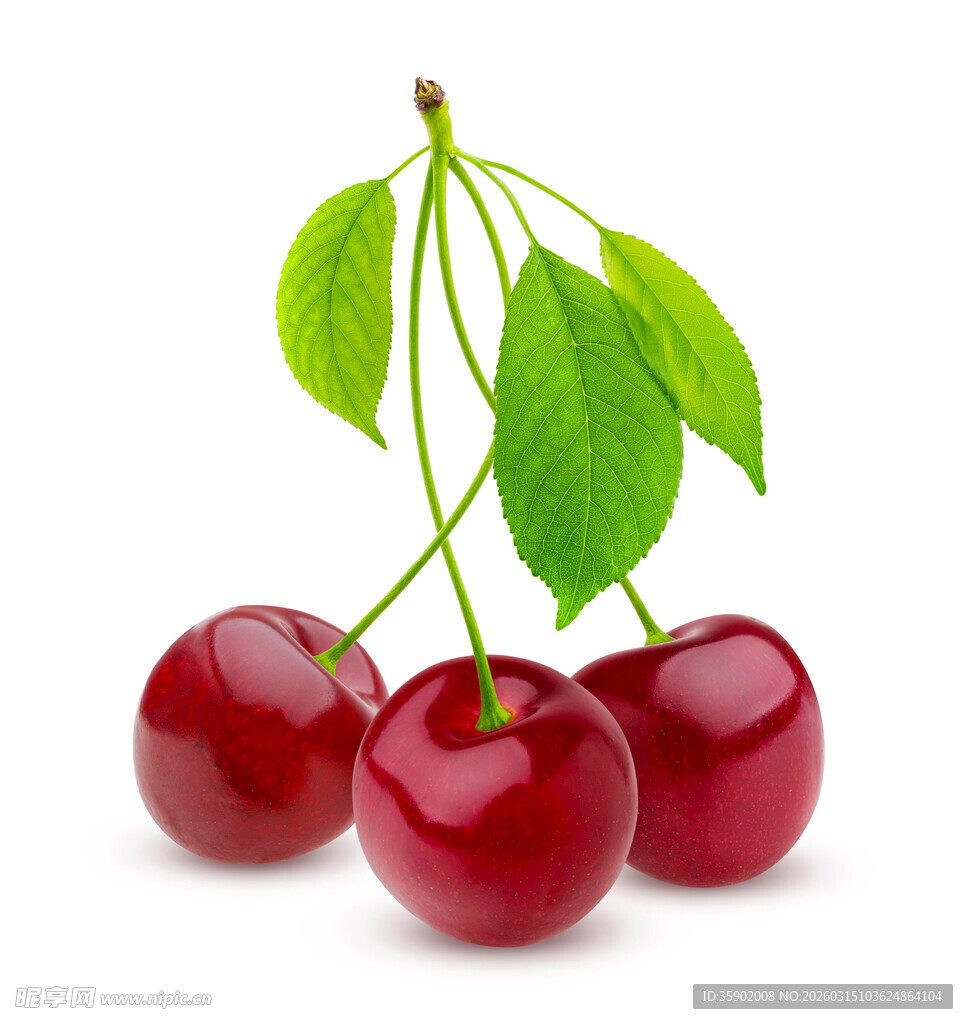 三颗鲜红带叶樱桃