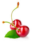 新鲜双樱桃带绿叶