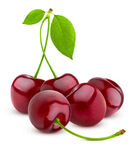 新鲜红樱桃绿叶相伴