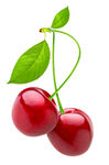 新鲜双颗樱桃带绿叶