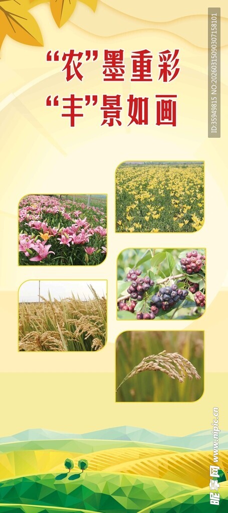 农业易拉宝 丰收节背景