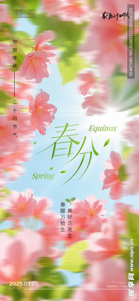 春日繁花盛景海报