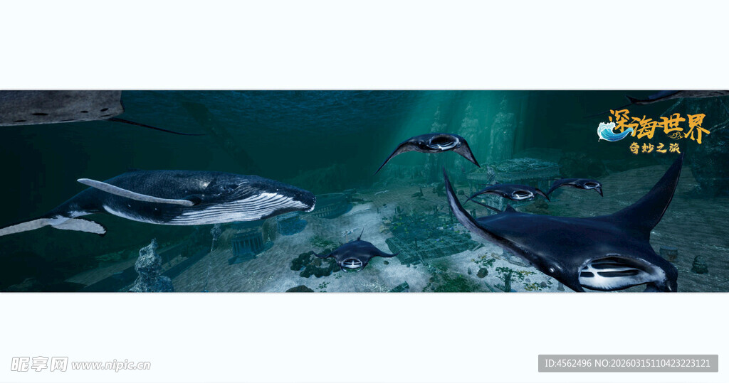 海洋中嬉戏的海豚与鱼群