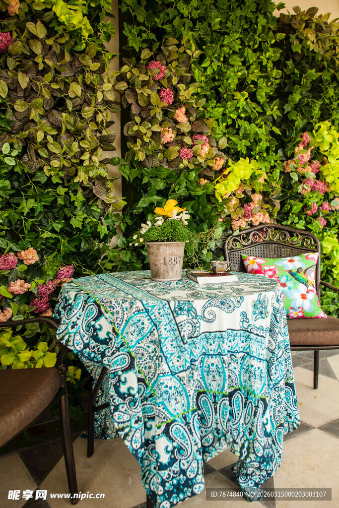 绿植环绕的雅致家居角落