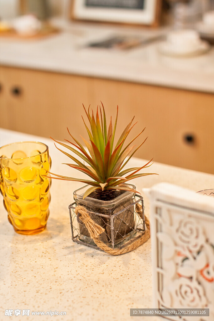 台面上的盆栽与彩色玻璃杯