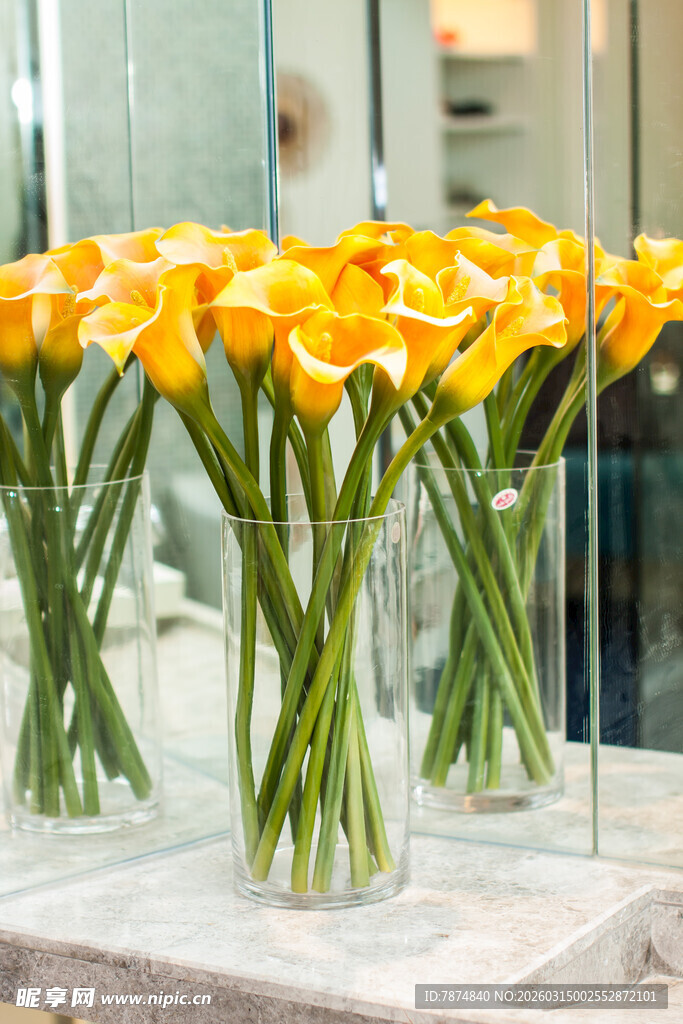 花瓶中盛放的黄色马蹄莲