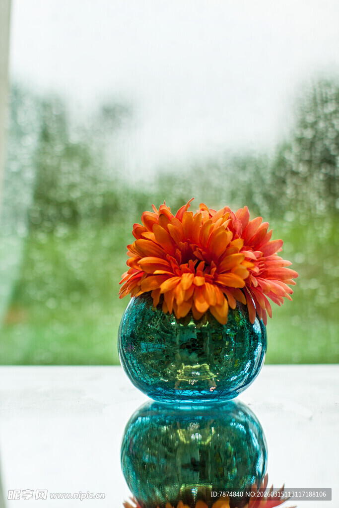 花瓶中盛放的鲜艳花朵