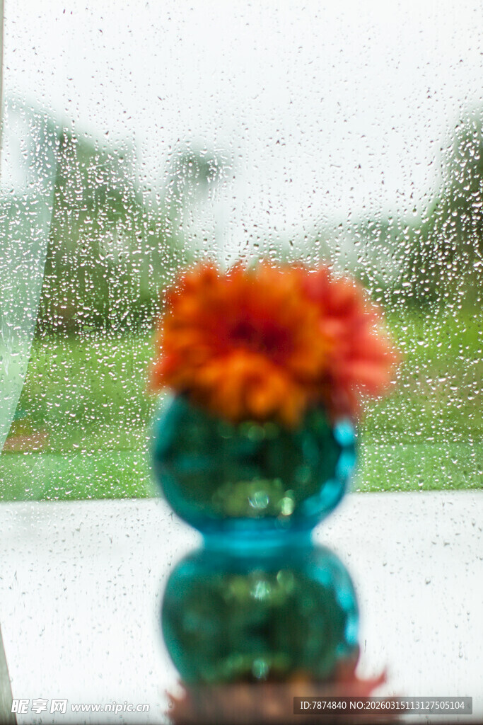 玻璃花瓶中的鲜艳花朵