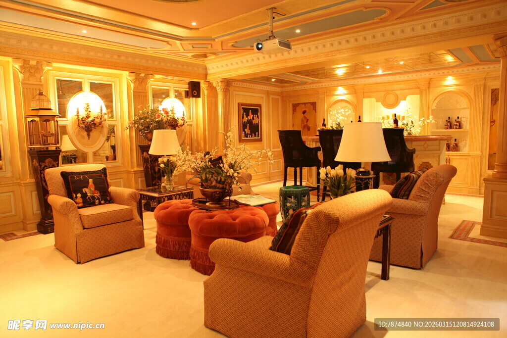 豪华温馨的室内客厅场景