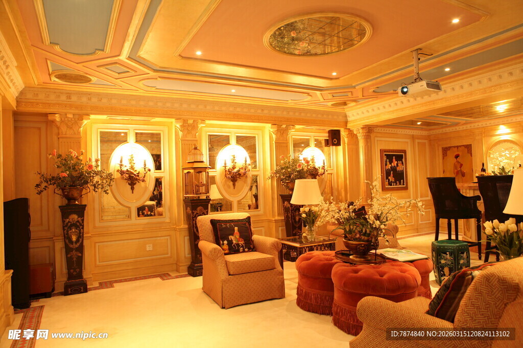 豪华典雅的客厅室内场景